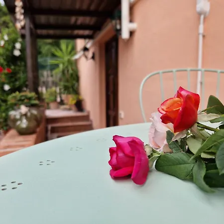Holiday home Rose In Affitto