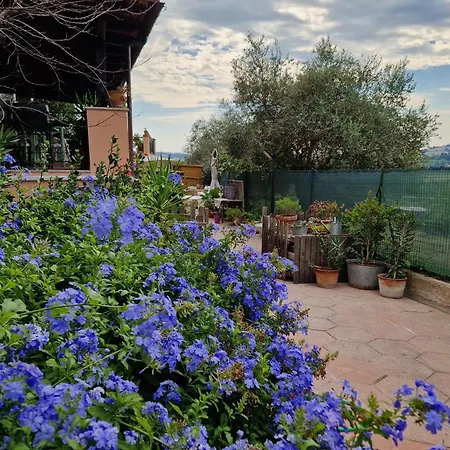 Rose In Affitto *